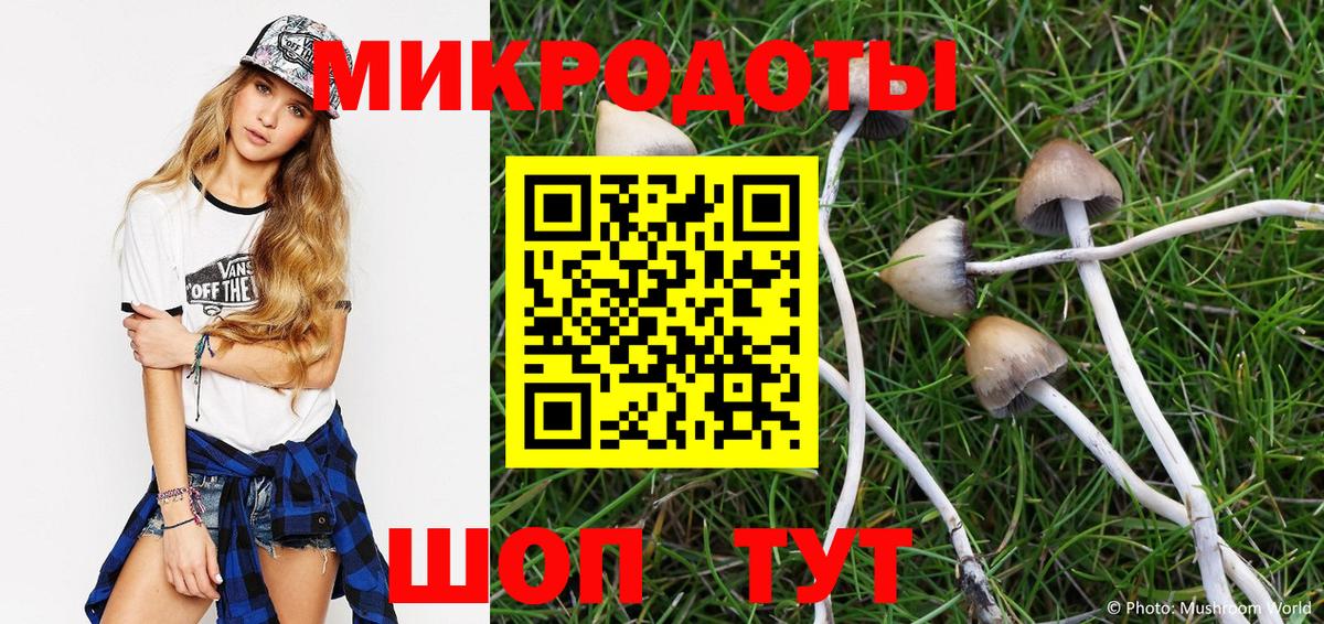 Ангарск  Галлюциногенные грибы Cubensis  Вход с VPN 