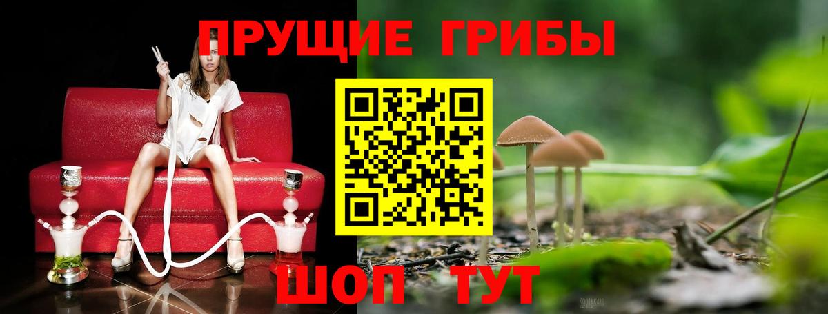Галлюциногенные грибы Cubensis Ангарск
